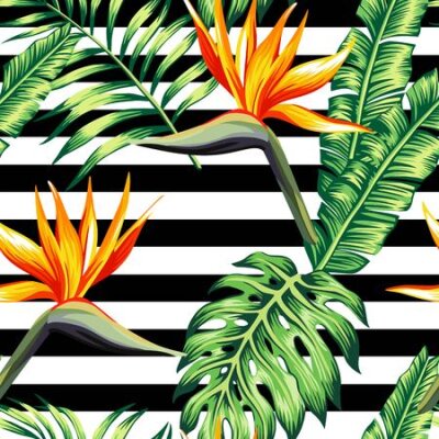 Papier peint  Exotic tropic plants composed of palm banana leaves, paradise Strelitzia flower on black and white stripe geometric background. Flower trendy seamless vector pattern. Hand drawn fashion wallpaper.