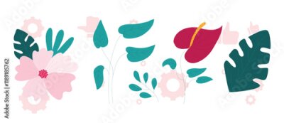 Papier peint  Exotic tropical flowers big vector clipart set. Orchid, strelitzia, hibiscus, bougainvillea, gloriosa, protea, tulip, hydrangea, fuchsia. Jungle floral design. Island flowers. Isolated and editable