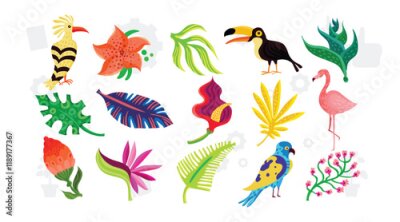 Papier peint  Exotic tropical flowers big vector clipart set. Orchid, strelitzia, hibiscus, bougainvillea, gloriosa, protea, tulip, hydrangea, fuchsia. Jungle floral design. Island flowers. Isolated and editable