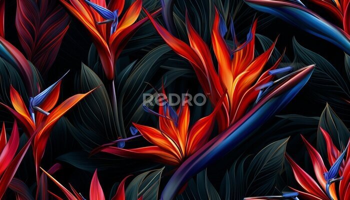 Papier peint  Exotic tropical flowers bird of paradise (strelitzia) red color blue palm leaves dark night jungle background