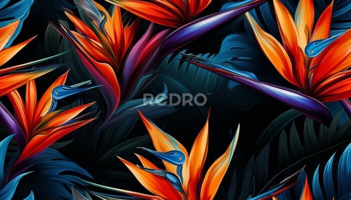 Papier peint  Exotic tropical flowers bird of paradise (strelitzia) red color blue palm leaves dark night jungle background