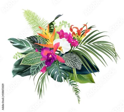 Papier peint  Exotic tropical flowers, orchid, strelitzia, bougainvillea, gloriosa, palm, monstera, calathea leaves