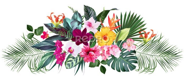 Papier peint  Exotic tropical flowers, orchid, strelitzia, hibiscus, bougainvillea, gloriosa, palm, monstera leaves vector design bouquet