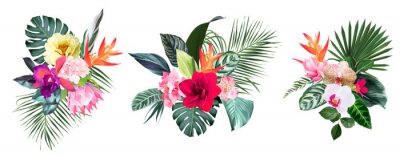 Papier peint  Exotic tropical flowers, orchid, strelitzia, hibiscus, protea, anthurium, palm