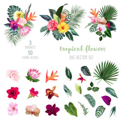 Papier peint  Exotic tropical flowers, orchid, strelitzia, hibiscus, protea, anthurium, palm, monstera