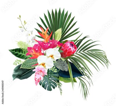 Papier peint  Exotic tropical flowers, orchid, strelitzia, pink medinilla, protea, palm, monstera, calathea leaves vector design bouquet