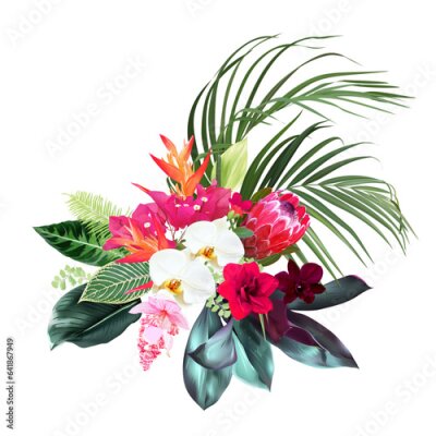 Papier peint  Exotic tropical flowers, orchid, strelitzia, pink medinilla, protea, palm, monstera, calathea leaves vector design bouquet