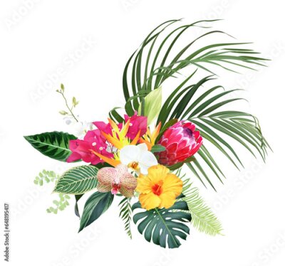 Papier peint  Exotic tropical flowers, orchid, strelitzia, yellow hibiscus, protea, palm, monstera, calathea leaves vector design bouquet