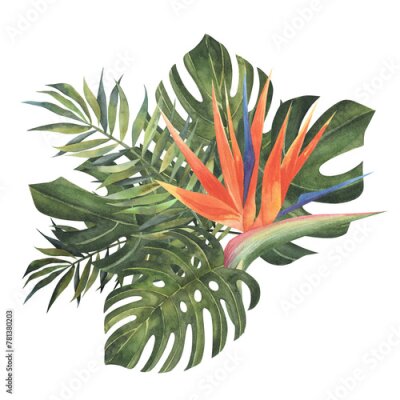 Papier peint  Exotic tropical flowers, strelitzia, palm, monstera leaves design bunches. Jungle forest wedding bouquet. Island greenery.Elements are isolated and editable