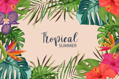 Papier peint  Exotic tropical palm leaves, strelitzia, orchid and hibiscus. Frame border background. Summer vector illustration. Template for card