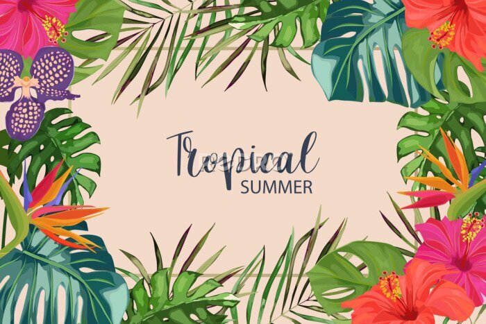 Papier peint  Exotic tropical palm leaves, strelitzia, orchid and hibiscus. Frame border background. Summer vector illustration. Template for card