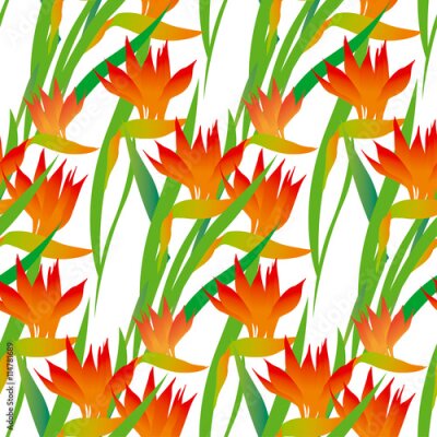 Papier peint  Exotique, exotique, fleur, seamless, modèle. Strelitzia vecteur illus