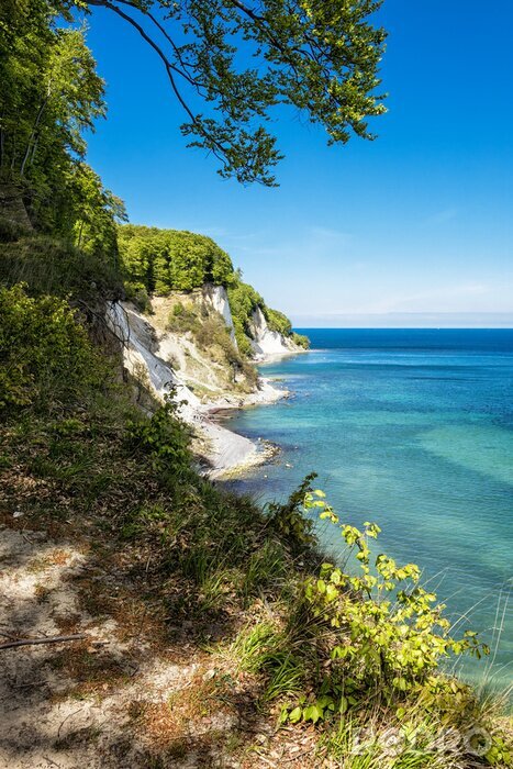 Papier peint  Falaises et plantes en bord de mer