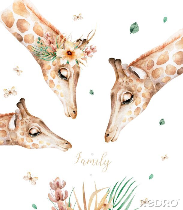 Papier peint  Famille girafe en fleurs