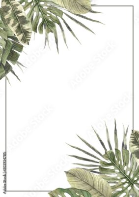 Papier peint  Fan palm, monstera, strelitzia. Banner with green tropical leaves in floral style with outline. Exotic botanical design for cosmetics, floristry, spa, beauty salon, for invitations, cards, holidays