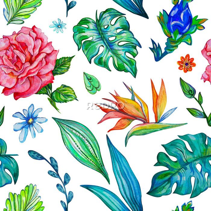 Papier peint  Fantastic seamless pattern flowers set with fabulous flowers and strelitzia and rose on white isolated background. 