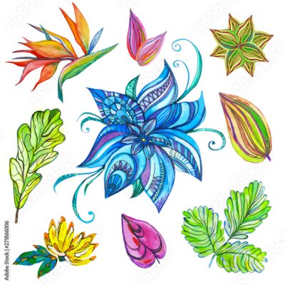 Papier peint  Fantastic seamless pattern flowers set with fabulous flowers and Strelitzia on isolated background.