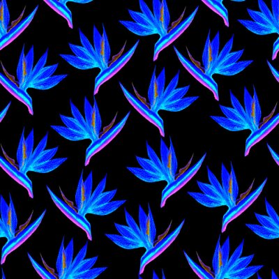 Papier peint  Fantastic seamless strelitzia flower pattern. Strelitzia, bird of paradise, or crane lily. Abstract blue flower pattern isolated on black background. Textile, wallpapers, greeting cards, decoration.