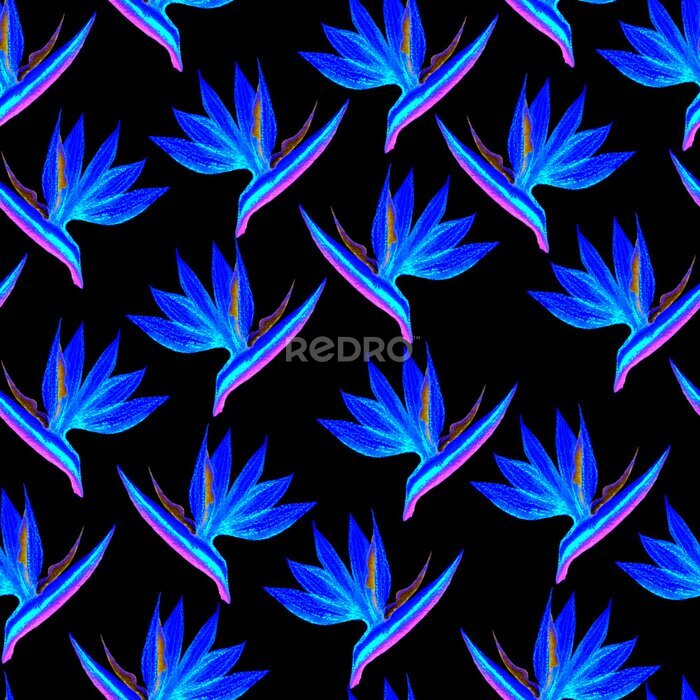 Papier peint  Fantastic seamless strelitzia flower pattern. Strelitzia, bird of paradise, or crane lily. Abstract blue flower pattern isolated on black background. Textile, wallpapers, greeting cards, decoration.