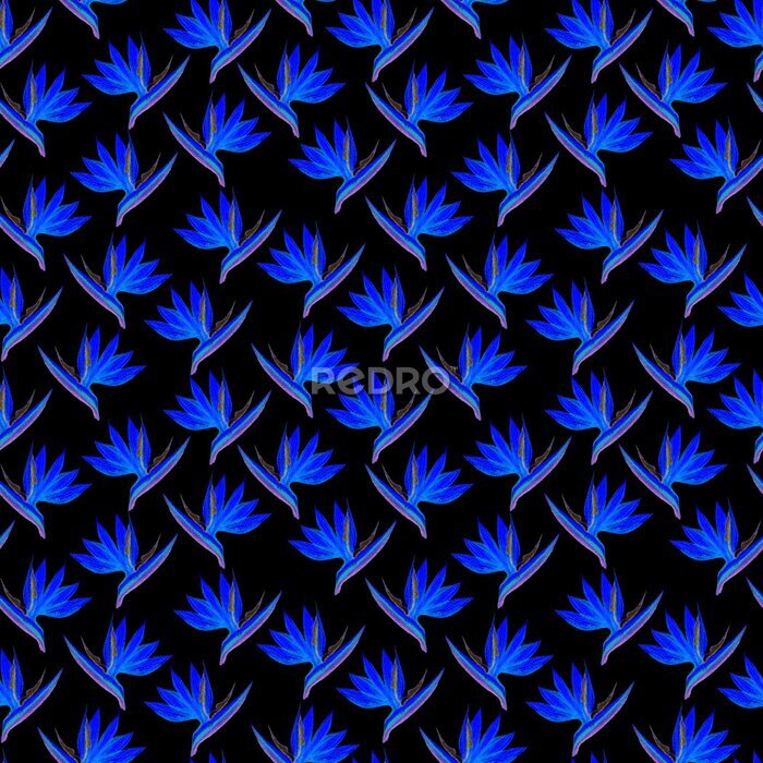 Papier peint  Fantastic seamless strelitzia flower pattern. Strelitzia, bird of paradise, or crane lily. Abstract blue flower pattern isolated on black background. Textile, wallpapers, greeting cards, decoration.