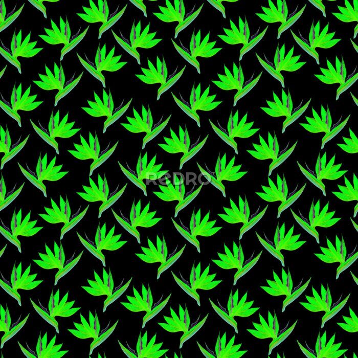 Papier peint  Fantastic seamless strelitzia flower pattern. Strelitzia, bird of paradise, or crane lily. Abstract neon flower pattern isolated on black background. Textile, wallpapers, greeting cards, decoration.