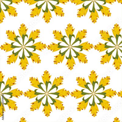 Papier peint  Fantasy seamless vector background. Tropical pattern with exotic flowers, jungle leaves: monstera plant leaf, strelitzia, bird of Paradise. Vintage Botanical delicate drawings in Hawaiian style-Vector