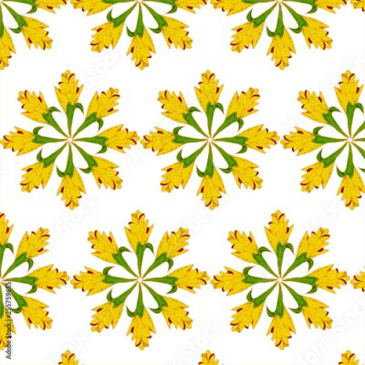 Papier peint  Fantasy seamless vector background. Tropical pattern with exotic flowers, jungle leaves: monstera plant leaf, strelitzia, bird of Paradise. Vintage Botanical delicate drawings in Hawaiian style-Vector