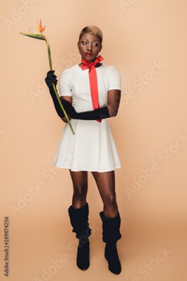 Papier peint  fashionable african american girl in black gloves posing with Strelitzia flower on beige