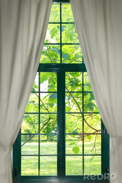 Papier peint  Fenêtre avec des rideaux et vue sur la nature