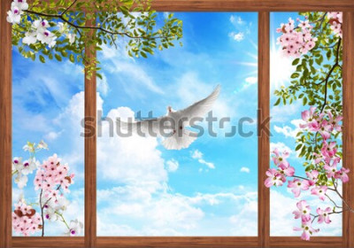 Papier peint  Fenêtre avec vue sur des brindilles en fleurs et une colombe blanche