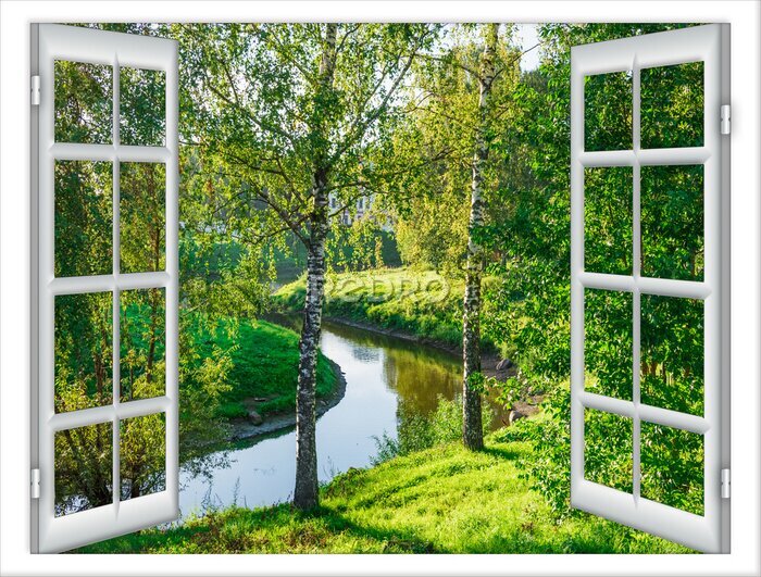 Papier peint  Fenêtre avec vue sur la rivière dans un parc vert