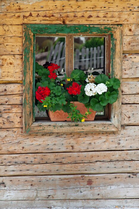 Papier peint  Fenêtre d'un chalet alpin
