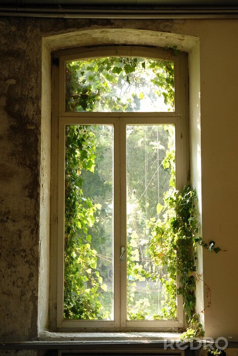 Papier peint  Fenêtre d'une maison abandonnée