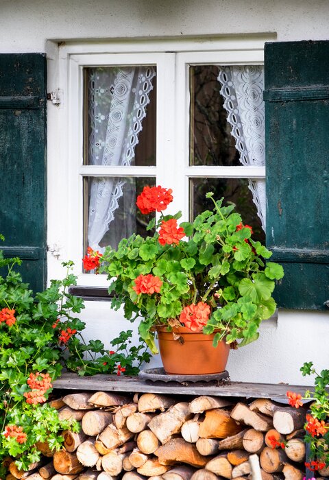 Papier peint  Fenêtre d'une maison de campagne