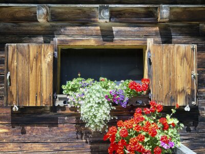 Fenêtre dans un bois avec des fleurs