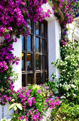 Papier peint  Fenêtre décorée de fleurs de pétunia