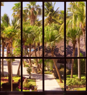 Papier peint  Fenêtre donnant sur des palmiers tropicaux