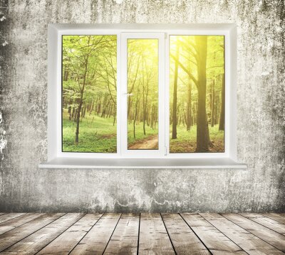 Papier peint  Fenêtre sur une forêt