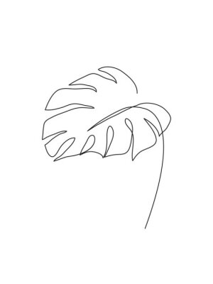 Feuille de monstera minimaliste