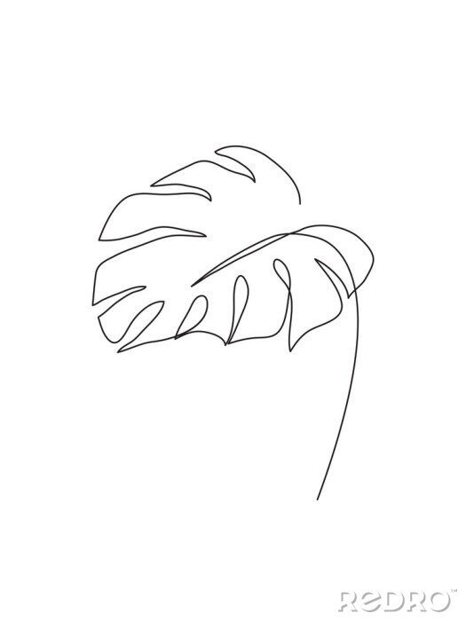 Papier peint  Feuille de monstera minimaliste