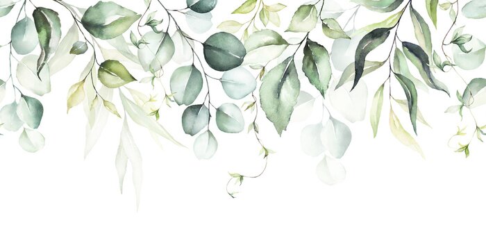Papier peint  Feuilles d'aquarelle sur fond blanc