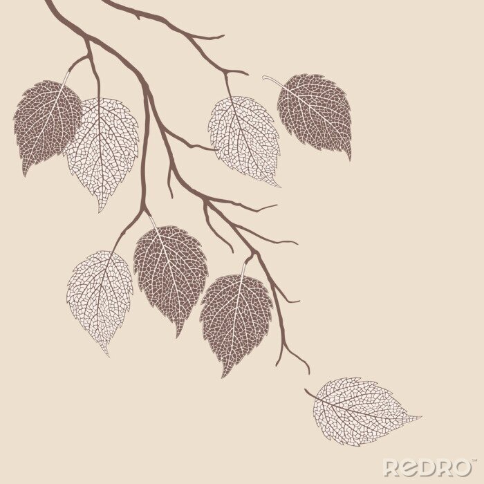 Papier peint  Feuilles d'arbre bohème