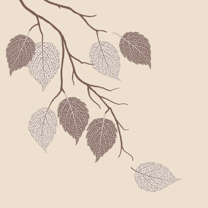 Papier peint  Feuilles d'arbre bohème