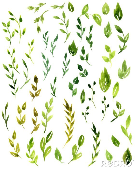 Papier peint  Feuilles d'arbres