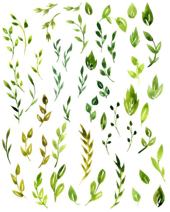 Papier peint  Feuilles d'arbres