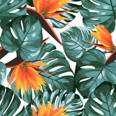 Papier peint  Feuilles d'arbres de forêt tropicale de la forêt tropicale philodendron monstera jungle. Strelitzia orange vif fleurs oiseau de paradis. Fond blanc exotique sans soudure. Illustration de conception de
