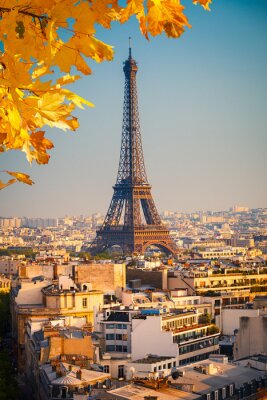 Feuilles d'automne à Paris