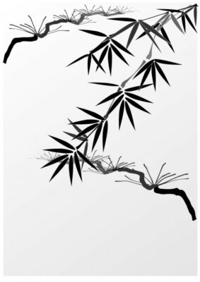 Papier peint  Feuilles de bambou noire et blanc