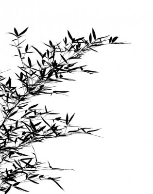 Papier peint  Feuilles de bambou noires sur fond blanc