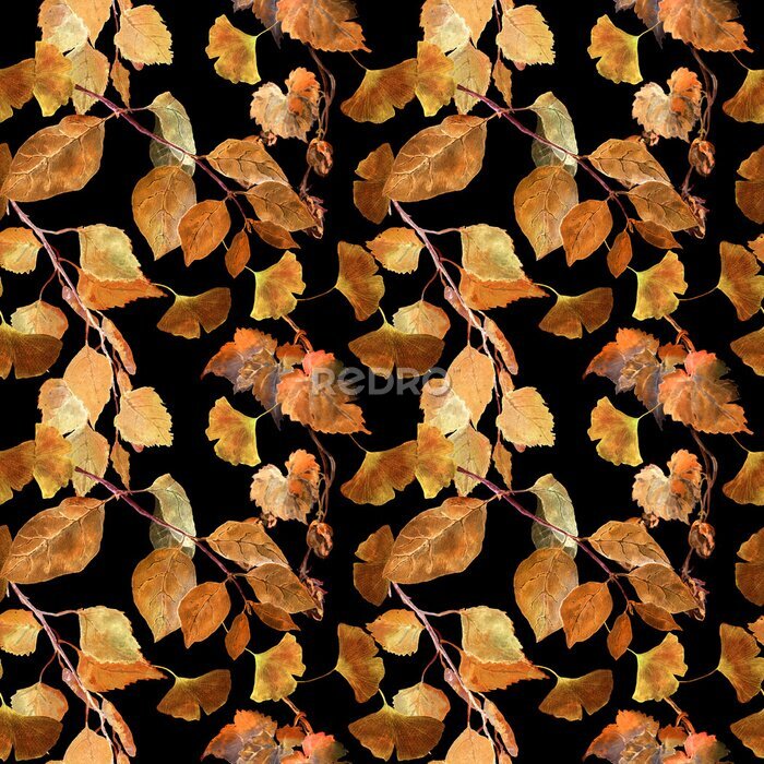 Papier peint  feuilles de bouleau d'automne